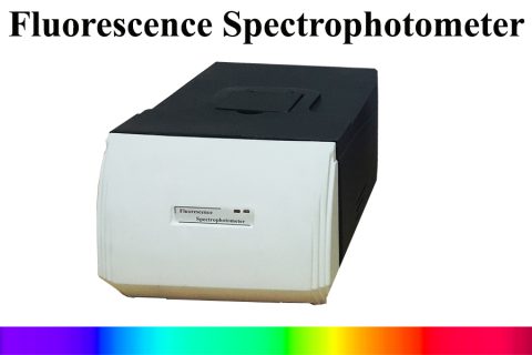Fluorescence spectrophotometer