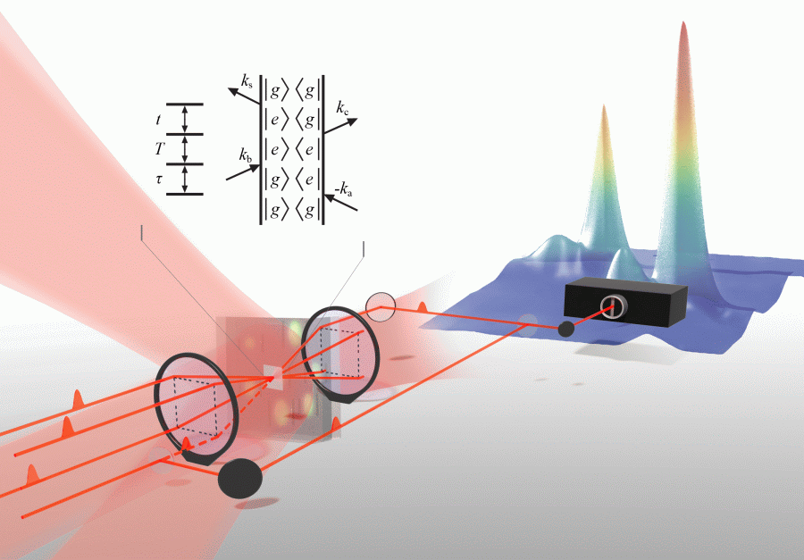 Multidimensional optical spectroscopy and imaging ed fig